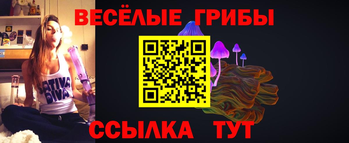 Псилоцибиновые грибы Psilocybe  Вход с VPN  Камышин 