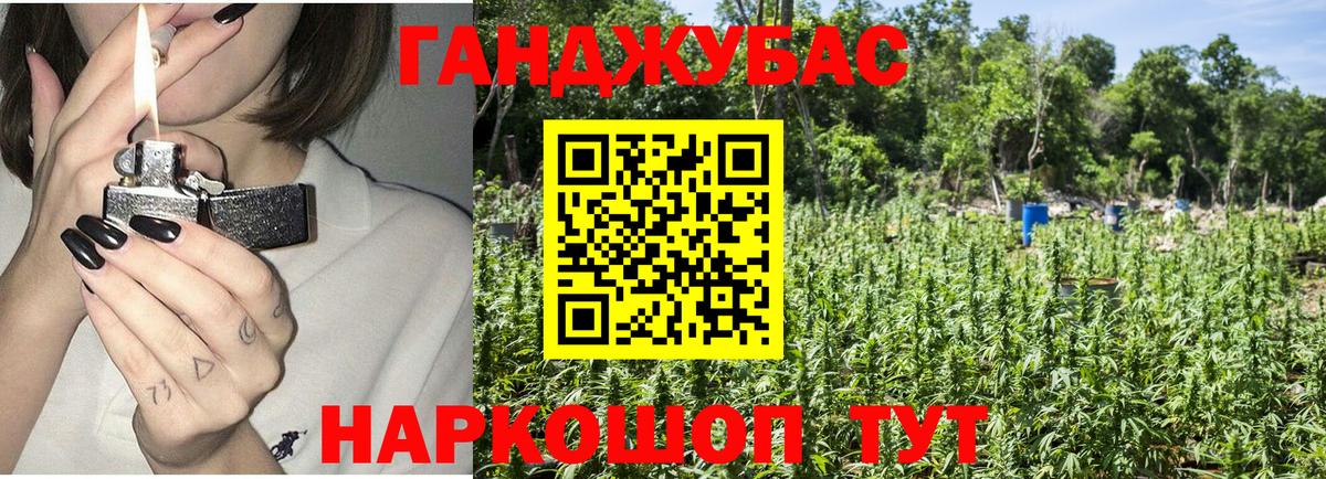 Каннабис гибрид Камышин